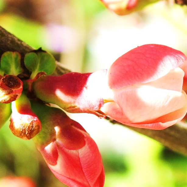 Fresh LOVE www.phillipcoupal.ca