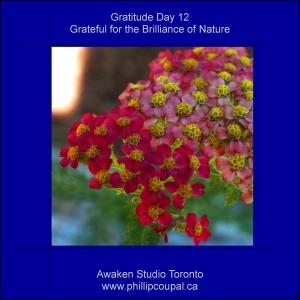 Days of Gratitude at the Awaken Studio Toronto http://www.awakenstudiotoronto.com
