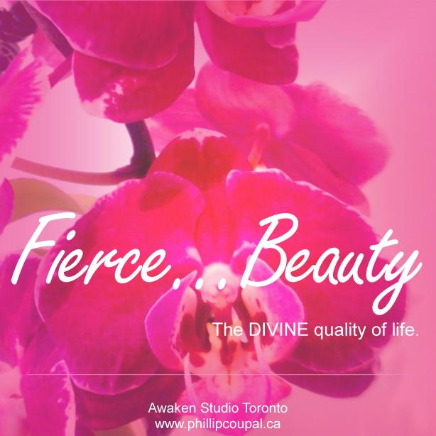 Gratitude Day 46 at the Awaken Studio Toronto http://www.awakenstudiotoronto.com